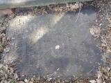 image of grave number 947665